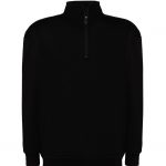 SWRAZIPHalf Zip Sweatshirt